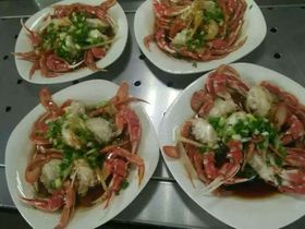 優化餐飲管理 提升服務質量與經營效率的關鍵策略