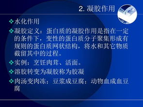 烹飪與膳食管理基礎 餐飲管理的關鍵要素