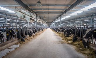 辦公室不長(zhǎng)胖零食選它，餐飲管理新思路